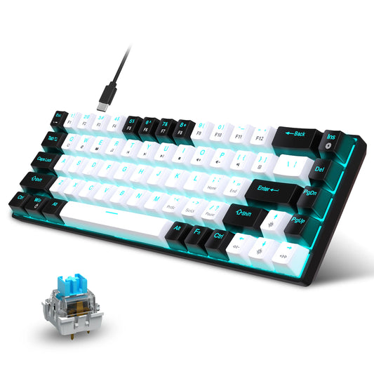 60% Mechanical Keyboard